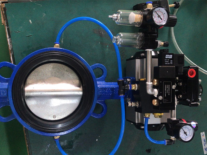 Inflatable seat butterfly valve