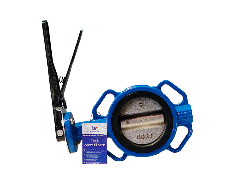 Multi standard EPDM seated butterfly valve
