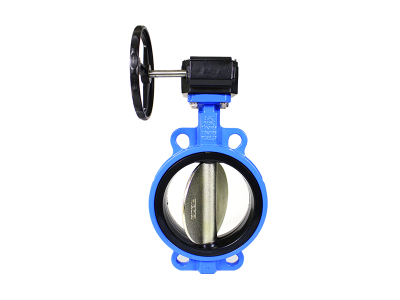 Worm gear operated butterfly valve