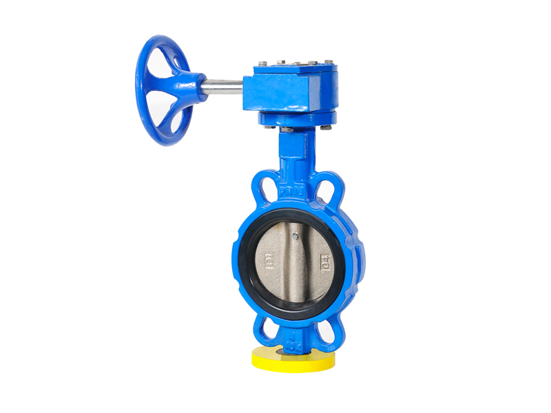 Worm gear operated butterfly valve