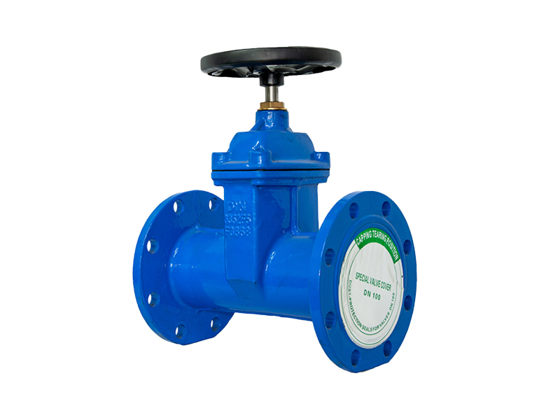 DIN F5 resilient seated gate valve