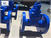 Gate valve or ball valve which is good?