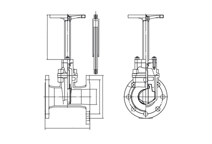 Extension stem gate valve