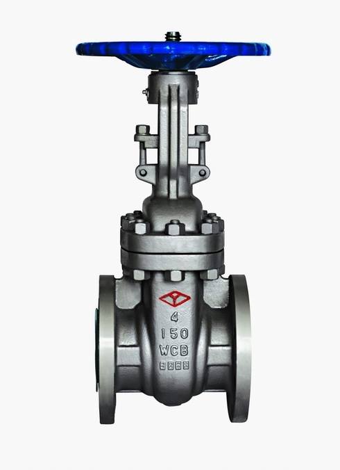 The Difference Between Globe and Gate Valves