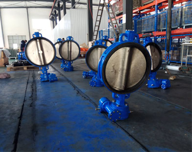 Sealing Ring of Tri-eccentric Butterfly Valve