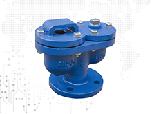 Automatic exhaust valve