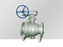 fixed ball valve