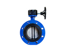 Flange butterfly valve