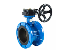 Flange butterfly valve