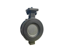 High performance butterfly valve