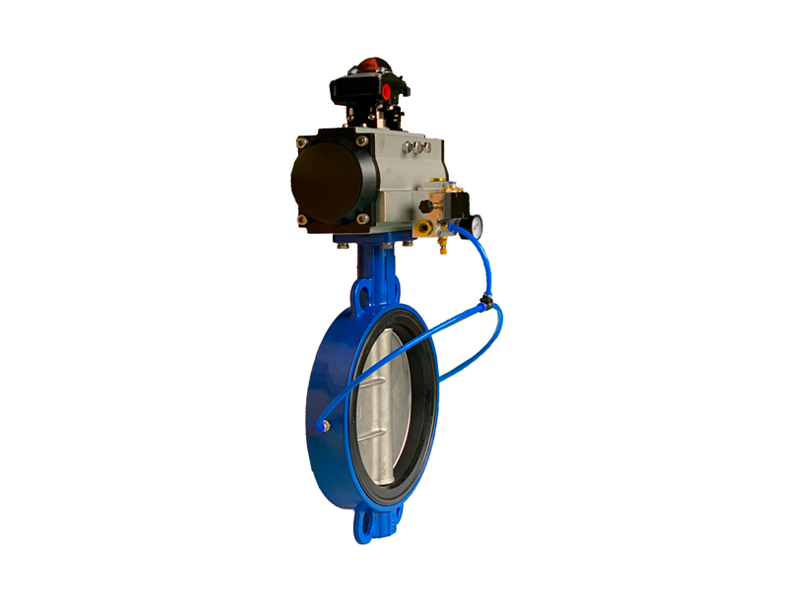 Inflatable seat butterfly valve