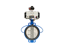 Inflatable seat butterfly valve