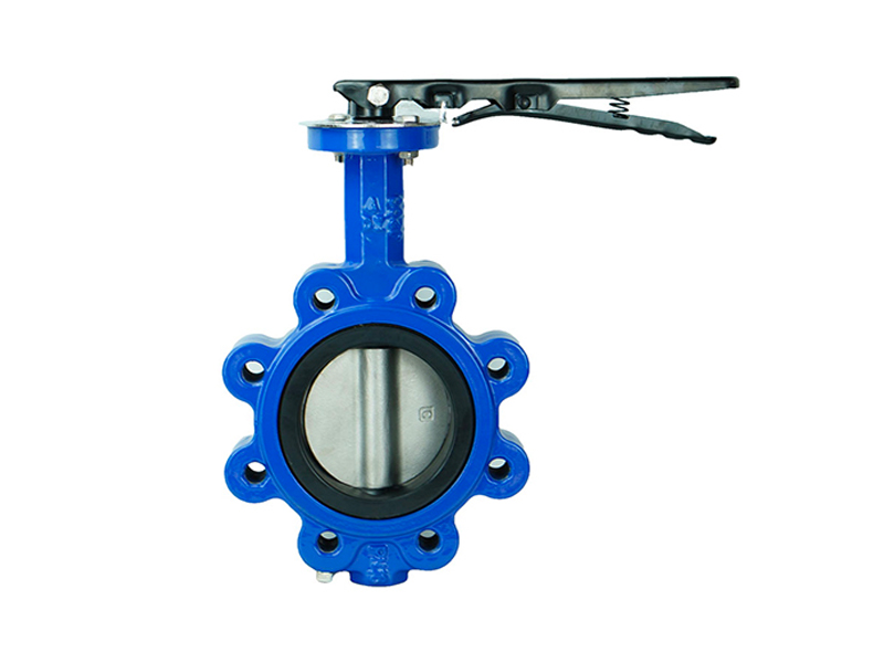 Lug butterfly valve