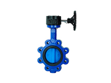 Lug butterfly valve