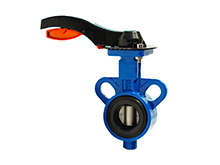 Multi standard EPDM seated butterfly valve