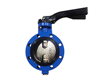 Single flange butterfly valve