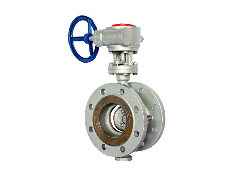 Stainless Steel Flanged Butterfly Valve
