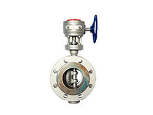 Stainless Steel Flanged Butterfly Valve
