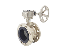Stainless steel flanged butterfly valve
