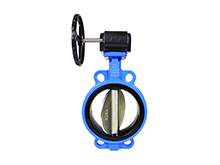 Worm gear operated butterfly valve