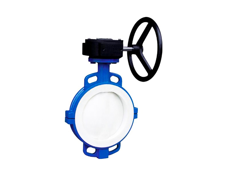 Wafer lined fluorine butterfly valve