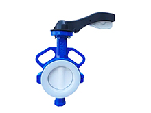 Wafer lined fluorine butterfly valve