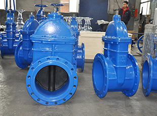African customers purchase WESDOM flange butterfly valves and soft seal gate valves