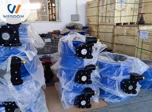 The flange butterfly valve is ready to be sent to Indonesia