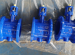 The flange butterfly valve is ready to be sent to Indonesia