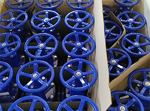 Soft seal gate valves are exported to Tanzania