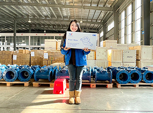 Packaged water meters sent to the Philippines