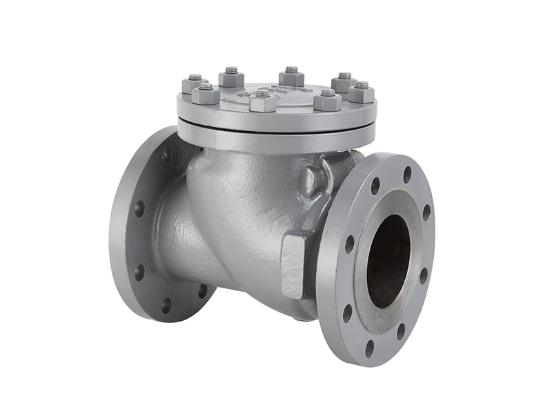 API Swing Check Valve