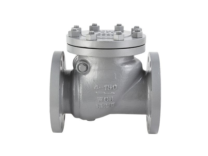 API Swing Check Valve