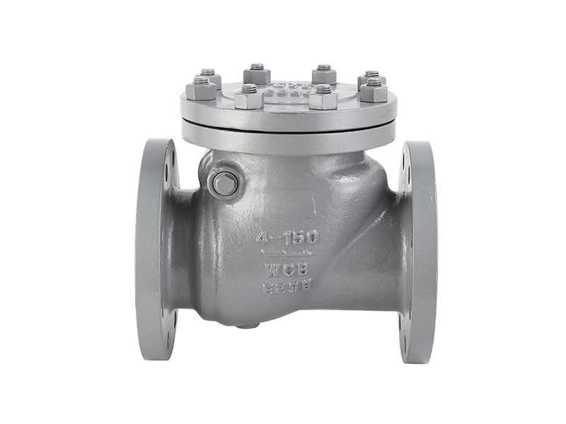 API Swing Check Valve