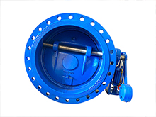 Butterfly Buffering Check Valve 