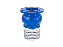 Foot check valve