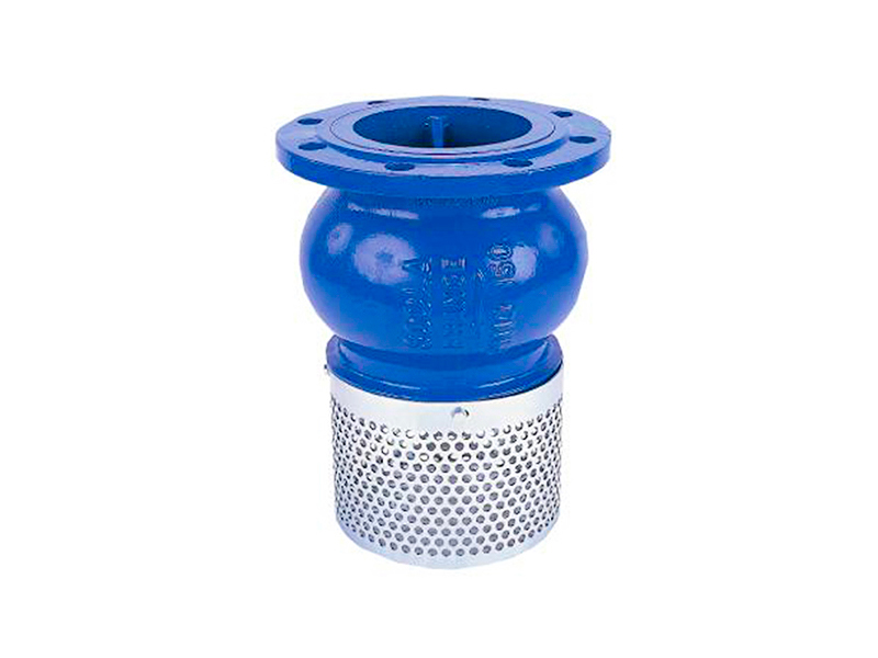 Foot check valve