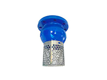Foot check valve