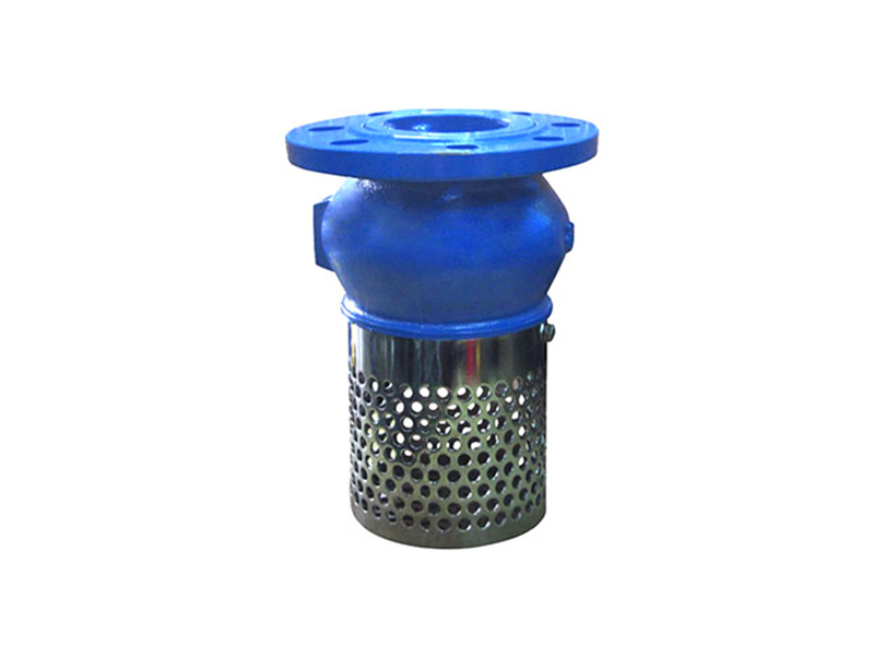 Foot check valve