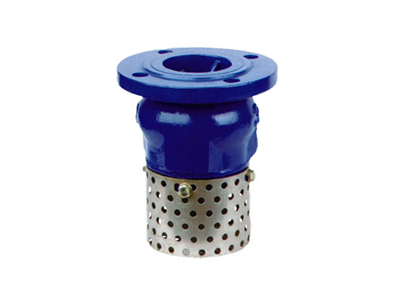 Foot check valve