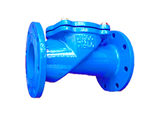 Rubber seal check valve