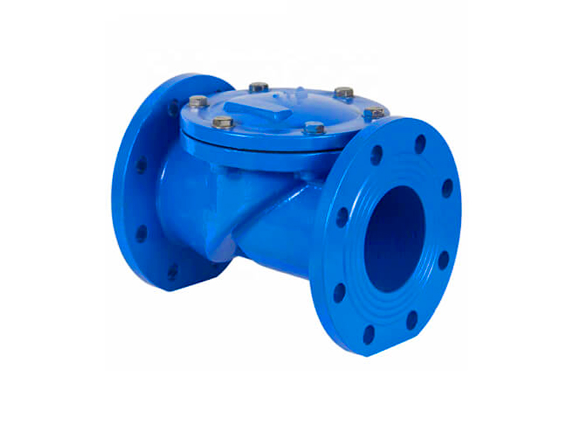 Rubber seal check valve