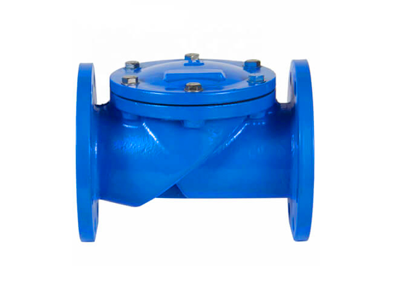 Rubber seal check valve