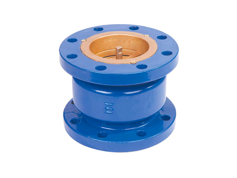 Silent Check Valve