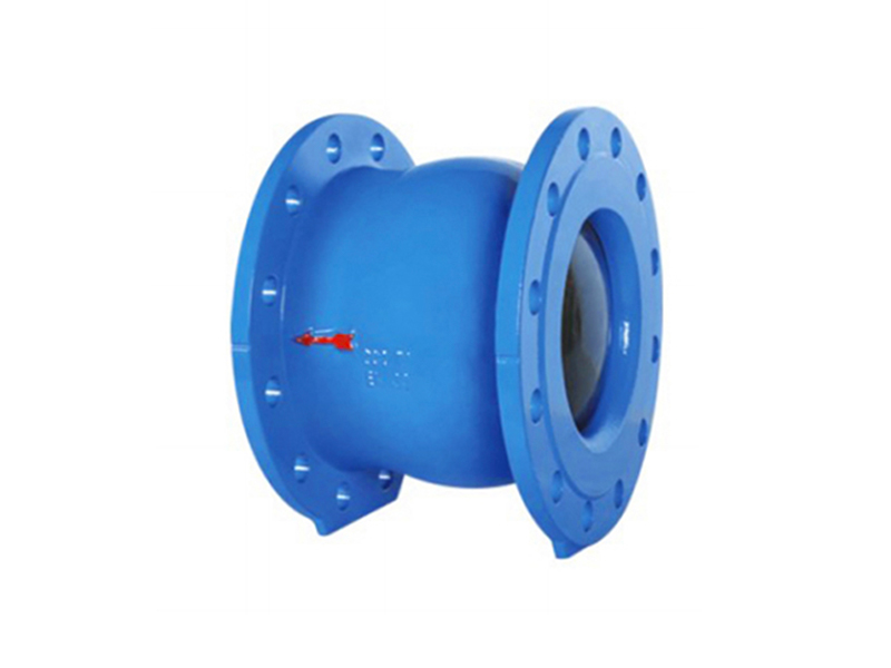 Silent Check Valve