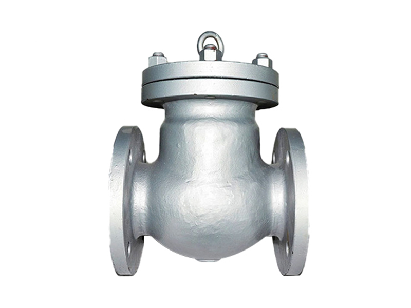 Stainless Steel flange Check Valve