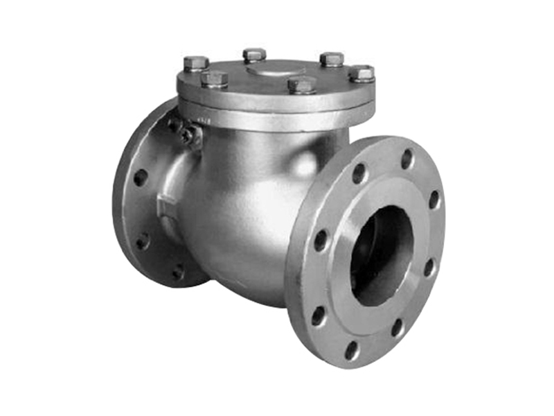 Stainless Steel flange Check Valve