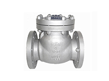 Stainless Steel flange Check Valve