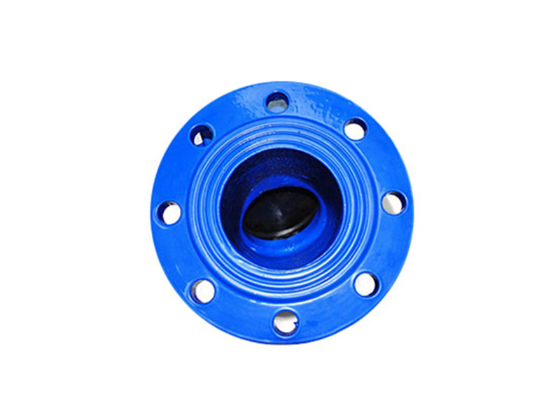 Swing Check Valve