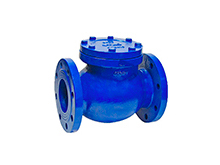 Swing check valve